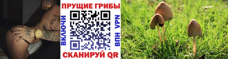 Галлюциногенные грибы MAGIC MUSHROOMS  Купить  Рузаевка 
